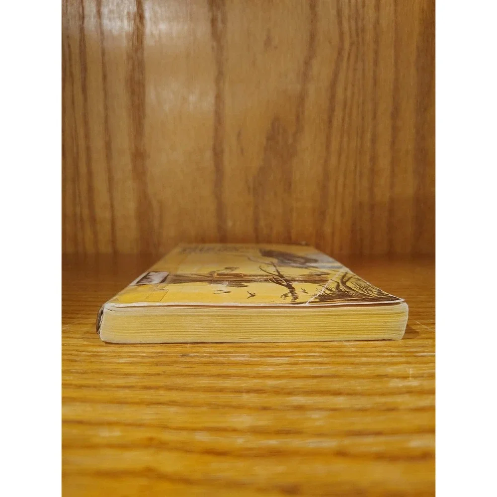 Big Blue Island by Wilson Gage, Paperback - Acceptable